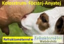 RHB-32SG ATC refraktometer na kolostrum